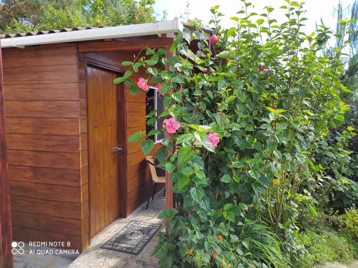 Mirador Finca Morrogacho Manizales Zewnętrze zdjęcie