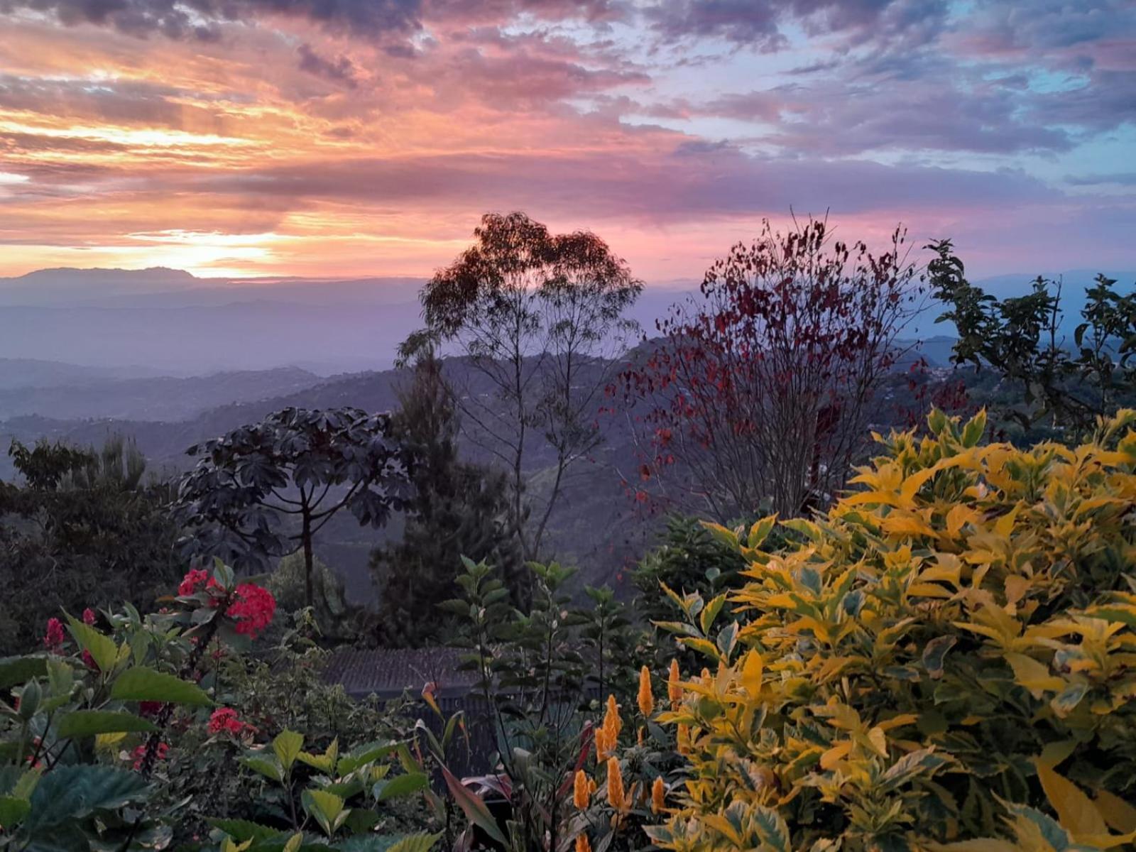 Mirador Finca Morrogacho Manizales Zewnętrze zdjęcie