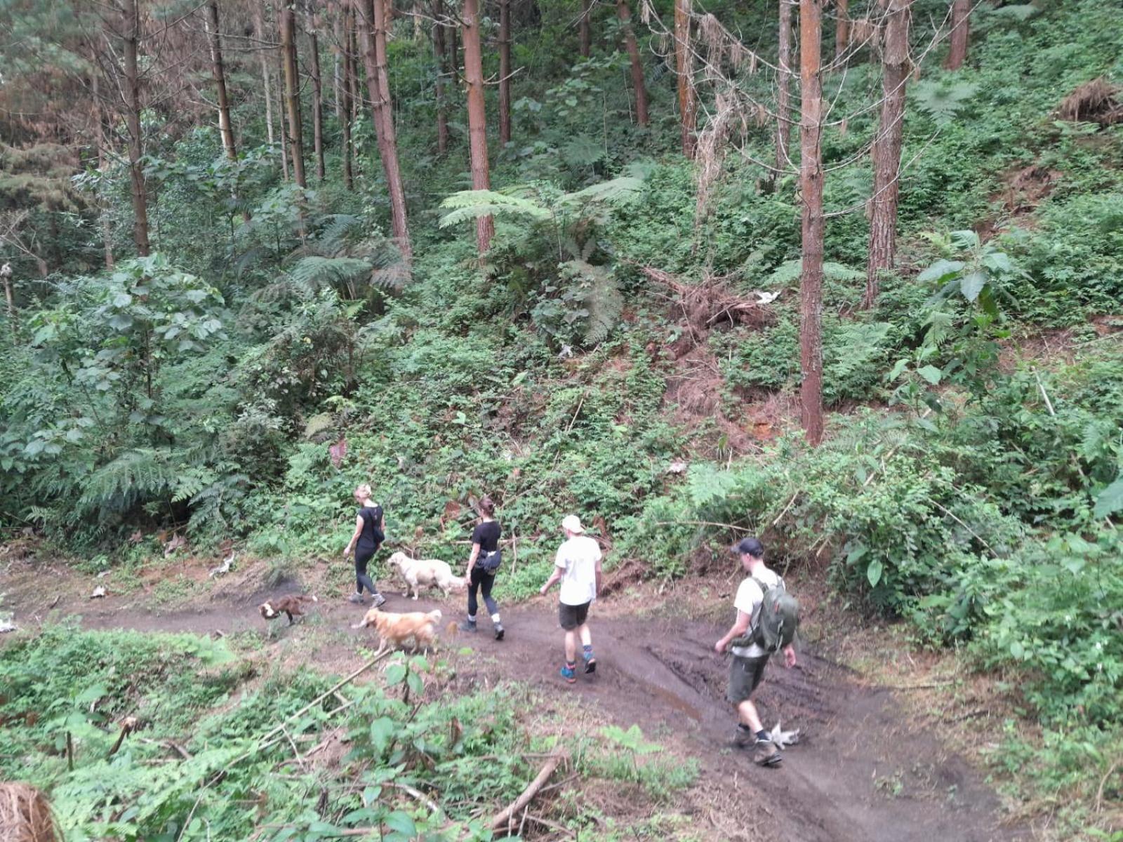 Mirador Finca Morrogacho Manizales Zewnętrze zdjęcie