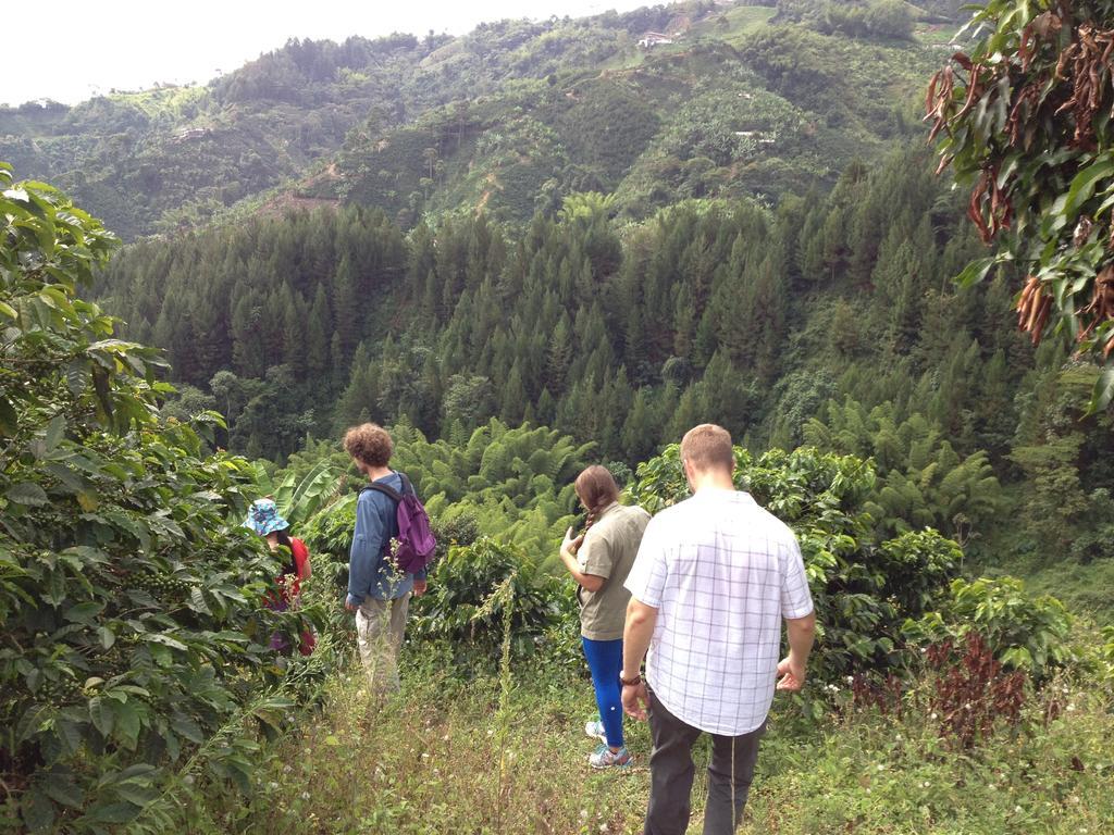 Mirador Finca Morrogacho Manizales Zewnętrze zdjęcie